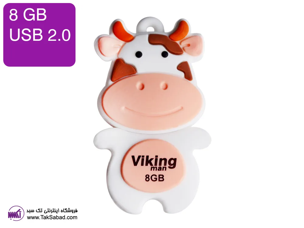 خرید فلش مموری viking