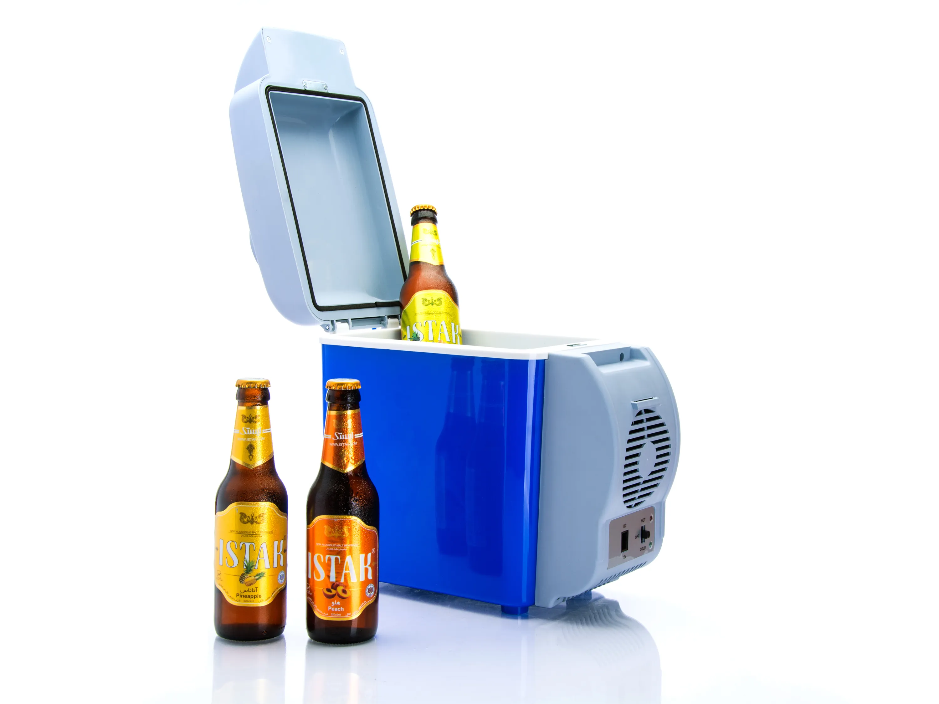 خرید یخچال خودرو