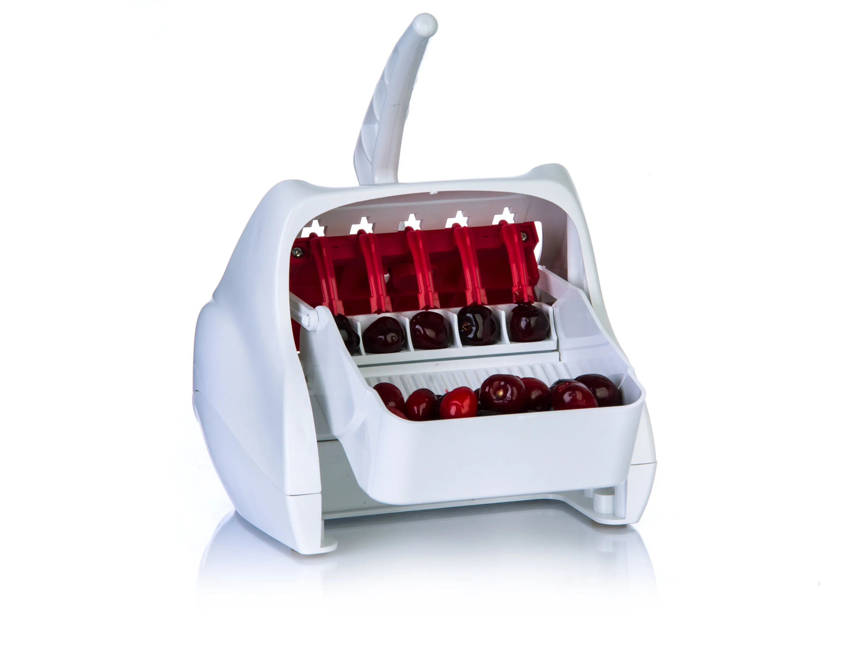 هسته گیر آلبالو خرید هسته گیر آلبالو