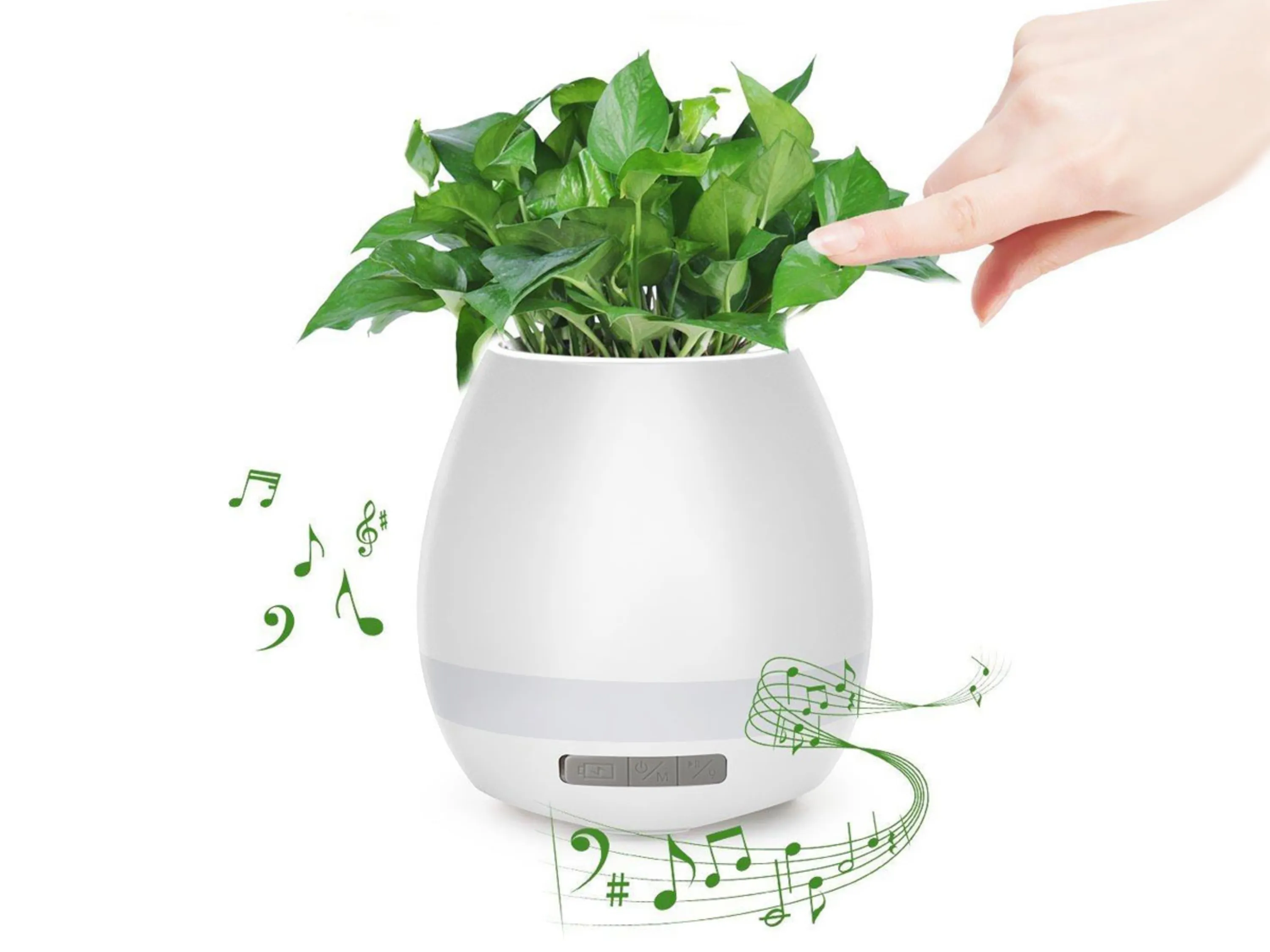 گلدان موزیکال خرید گلدان موزیکال