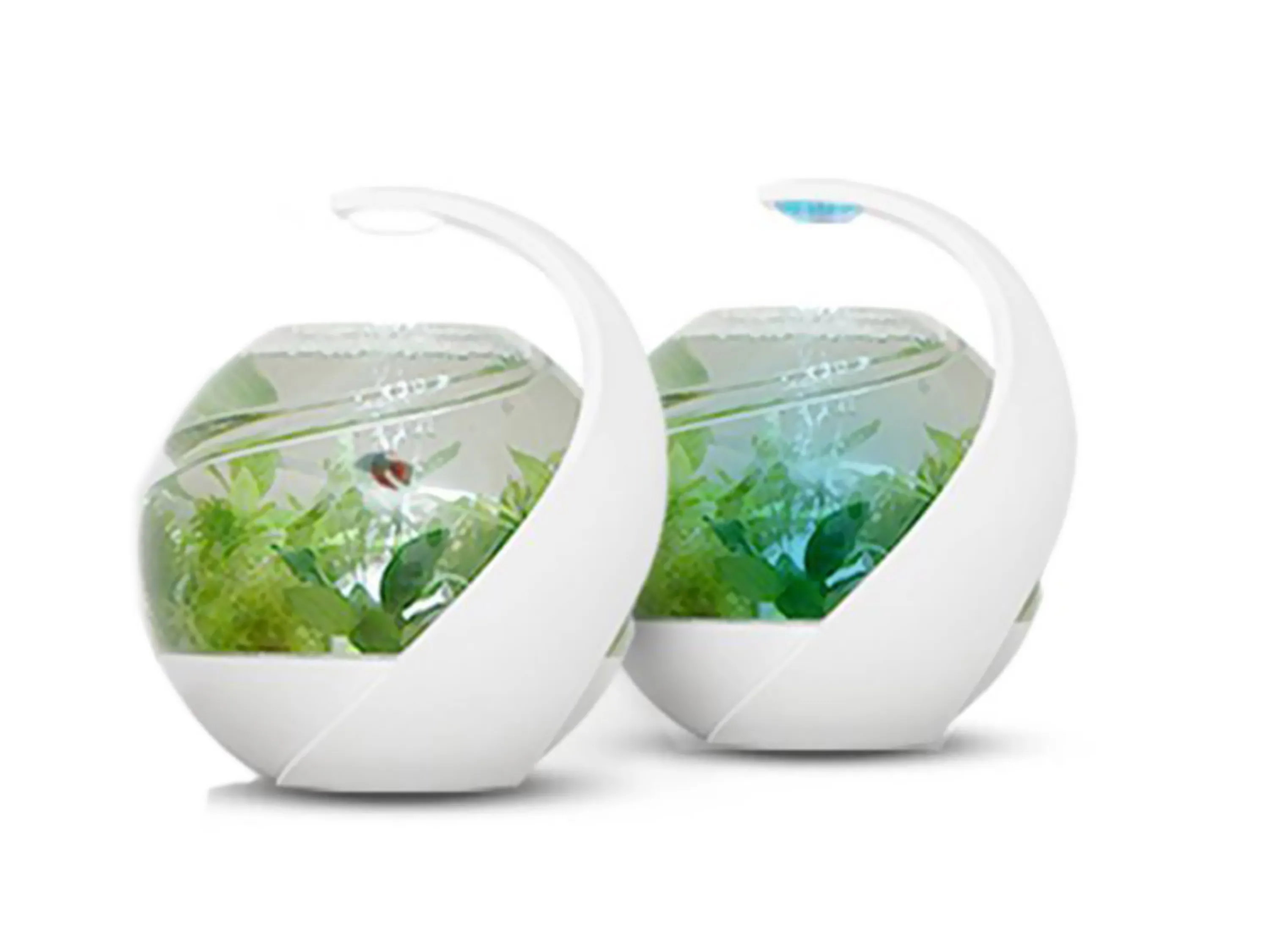 آکواریوم رومیزی خرید آکواریوم رومیزی