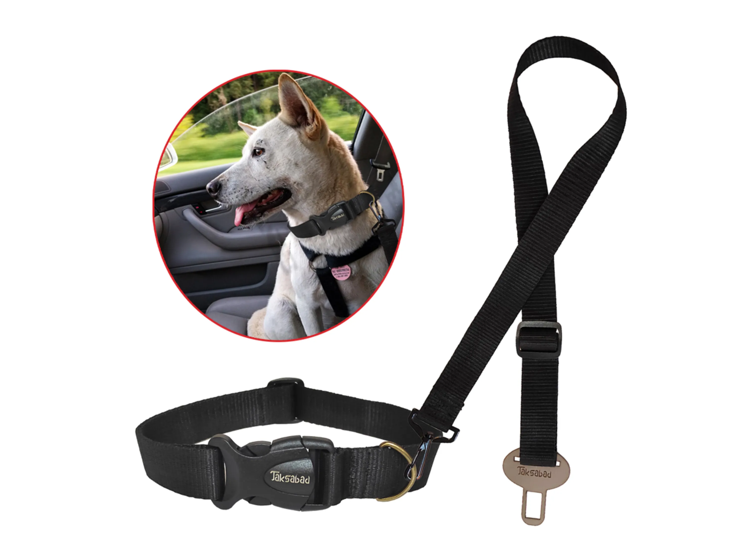 ست قلاده و کمربند ایمنی سگ خرید ست قلاده و کمربند ایمنی سگ