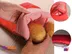 خرید کیسه پخت Potato Express