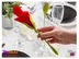 خرید bloom napkin holders