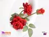 خرید گل رز رومیزی مصنوعی